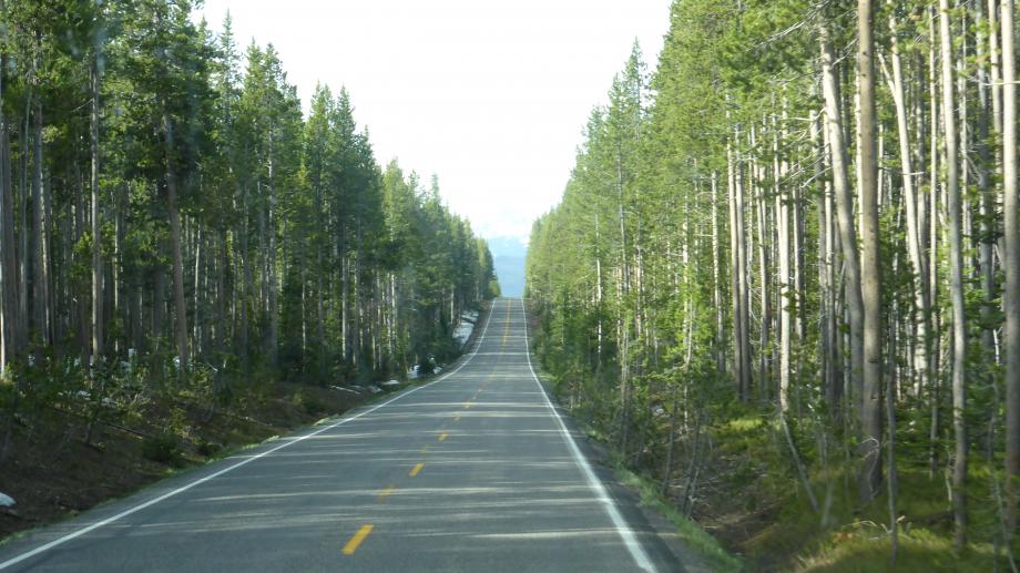 vanuit Yellowstone naar Grand Teton