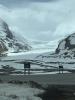 athabascagletsjer (Columbia Icefield)